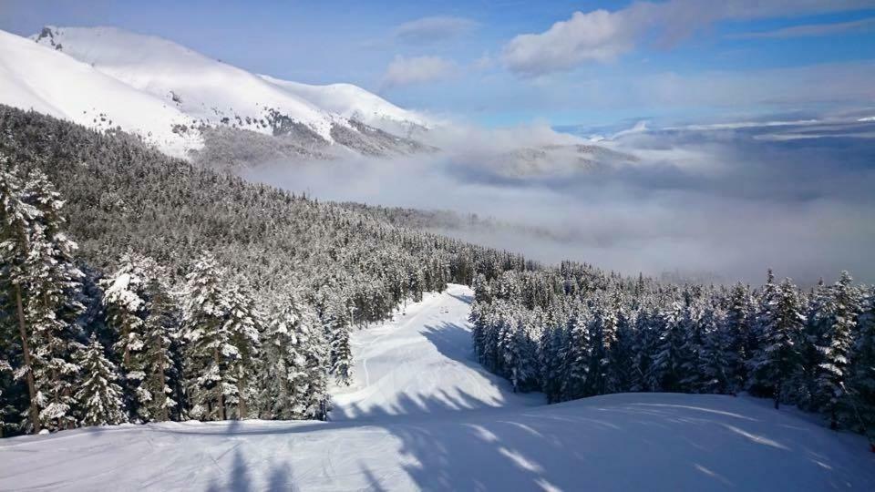 Fortuna Luxury Apartment Bansko Extérieur photo