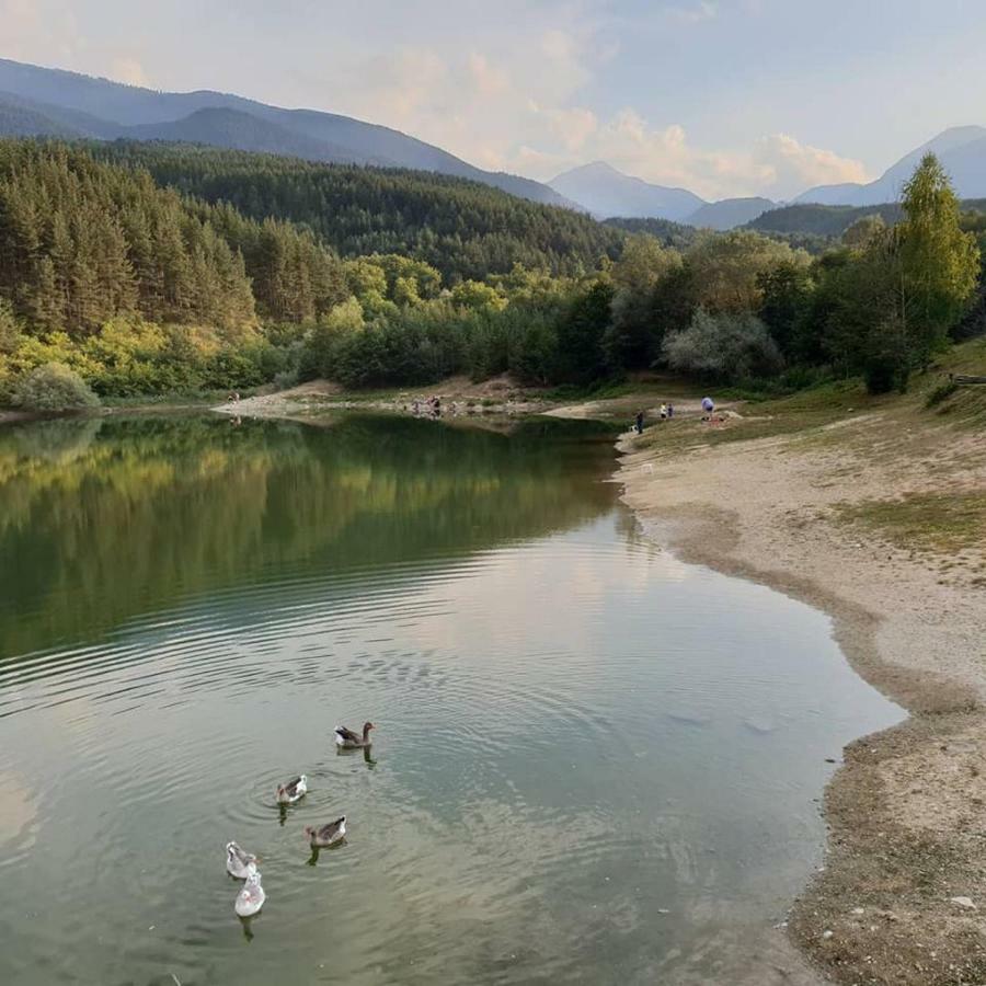 Fortuna Luxury Apartment Bansko Extérieur photo